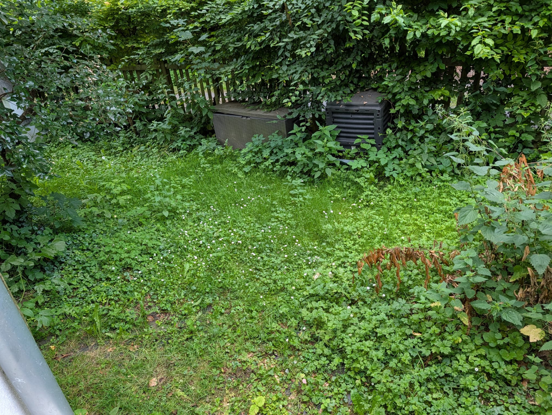 Neue Plattenfläche im Garten – Vorher