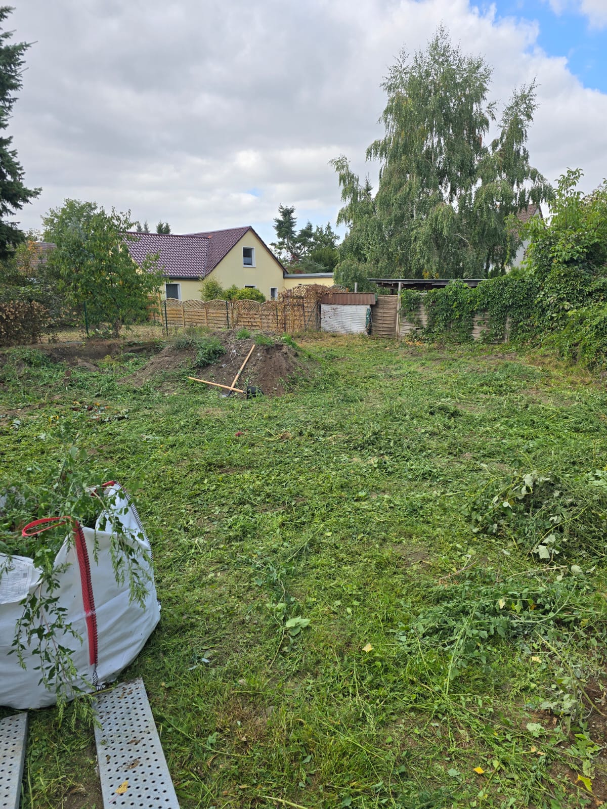 Gartenfläche freiräumen – Vorher